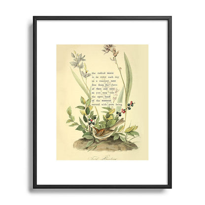 Bird Divinations: Field Bunting (about: almanacofbirds.org) Framed Art Print Gallery Image 81