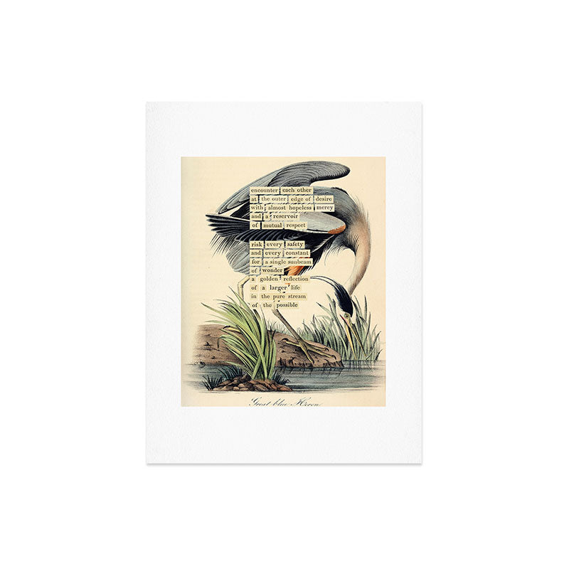 Bird Divinations: Great Blue Heron (about: almanacofbirds.org) Art Print Gallery Image 6