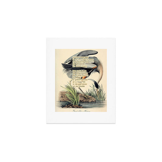 Bird Divinations: Great Blue Heron (about: almanacofbirds.org) Art Print Gallery Image 1