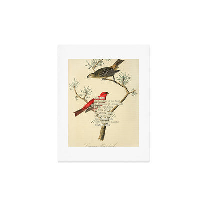 Bird Divinations: Pine Finch (about: almanacofbirds.org) Art Print Gallery Image 3
