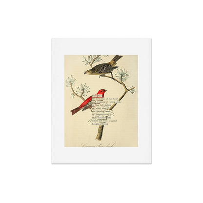 Bird Divinations: Pine Finch (about: almanacofbirds.org) Art Print Gallery Image 4