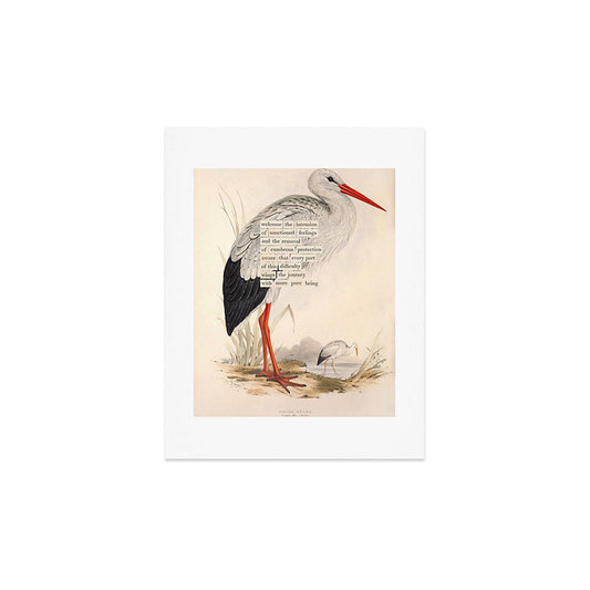 Bird Divinations: White Stork (about: almanacofbirds.org) Art Print Gallery Image 2