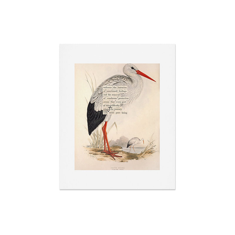 Bird Divinations: White Stork (about: almanacofbirds.org) Art Print Gallery Image 4