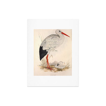 Bird Divinations: White Stork (about: almanacofbirds.org) Art Print Gallery Image 6