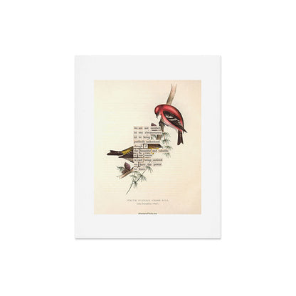 Bird Divinations: White-Winged Cross Bill (about: almanacofbirds.org) Art Print Gallery Image 4