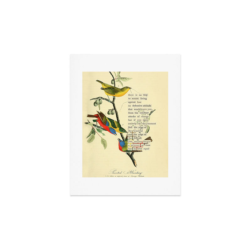 Painted Bunting from 'An Almanac of Birds - Divinations for Uncertain Days' (almanacofbirds.org) Art Print Gallery Image 3