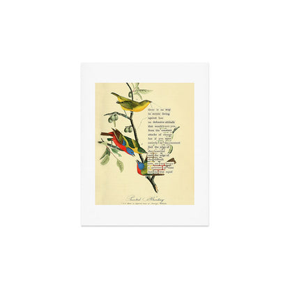 Painted Bunting from 'An Almanac of Birds - Divinations for Uncertain Days' (almanacofbirds.org) Art Print Gallery Image 3
