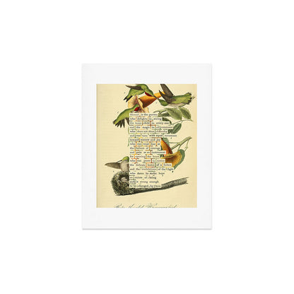 Ruby-throated Hummingbird Divination from # An Almanac of Birds # Divinations for Uncertain Days Art Print Gallery Image 3