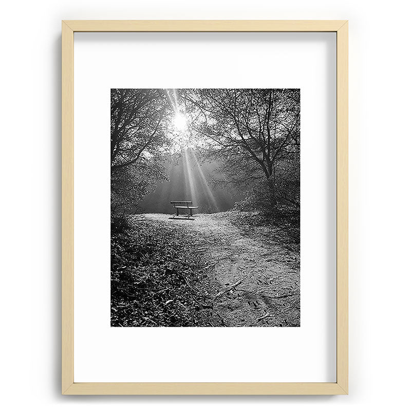 "Sunlit Solitude" by Maria Popova Framed Art Print Gallery Image 73