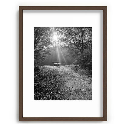 "Sunlit Solitude" by Maria Popova Framed Art Print Gallery Image 67