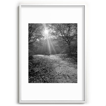 "Sunlit Solitude" by Maria Popova Framed Art Print Gallery Image 80