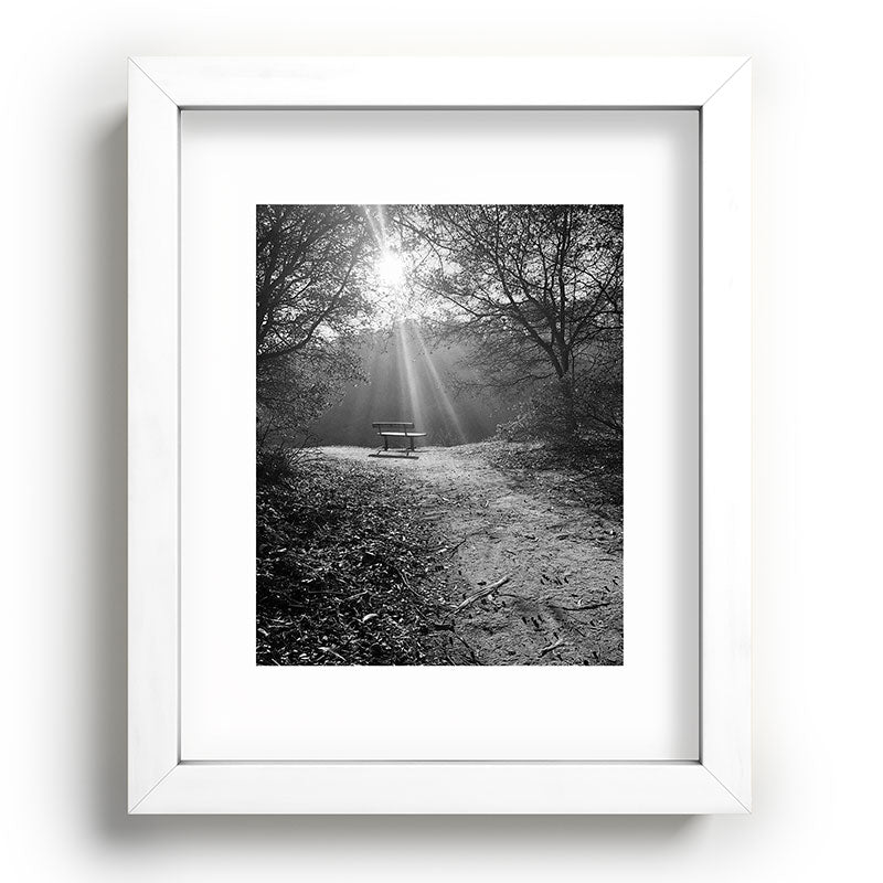 "Sunlit Solitude" by Maria Popova Framed Art Print Gallery Image 75