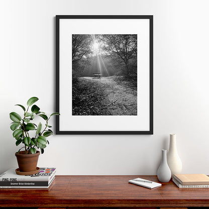 "Sunlit Solitude" by Maria Popova Framed Art Print Gallery Image 35