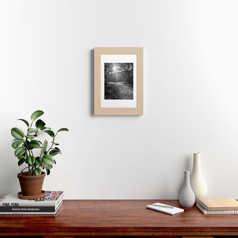 "Sunlit Solitude" by Maria Popova Framed Art Print Gallery Image 45