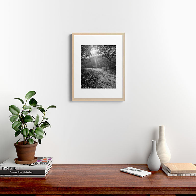 "Sunlit Solitude" by Maria Popova Framed Art Print Gallery Image 19