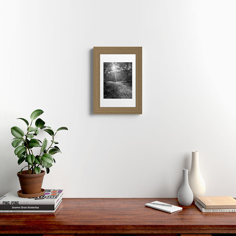 "Sunlit Solitude" by Maria Popova Framed Art Print Gallery Image 38