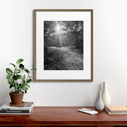 "Sunlit Solitude" by Maria Popova Framed Art Print Gallery Image 42