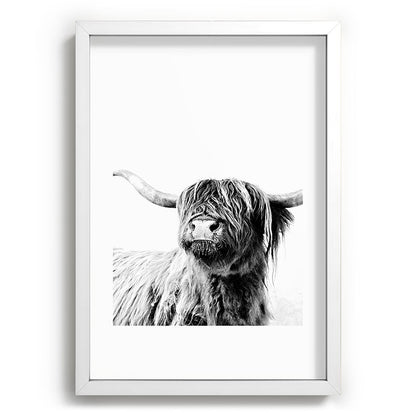 HIGHLAND CATTLE FRIDA Framed Art Print Gallery Image 105