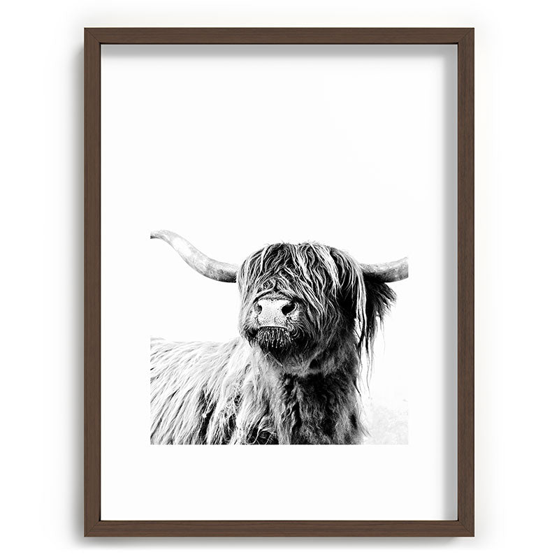 HIGHLAND CATTLE FRIDA Framed Art Print Gallery Image 92