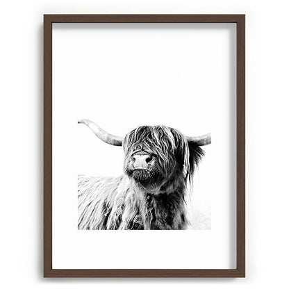 HIGHLAND CATTLE FRIDA Framed Art Print Gallery Image 92