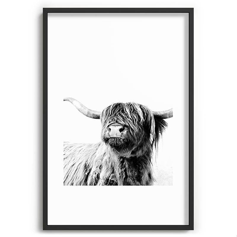 HIGHLAND CATTLE FRIDA Framed Art Print Gallery Image 85