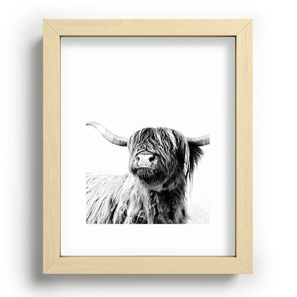HIGHLAND CATTLE FRIDA Framed Art Print Gallery Image 95