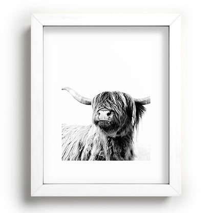 HIGHLAND CATTLE FRIDA Framed Art Print Gallery Image 104
