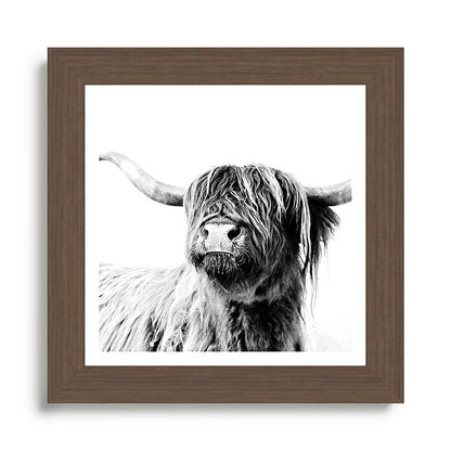 HIGHLAND CATTLE FRIDA Framed Art Print Gallery Image 57