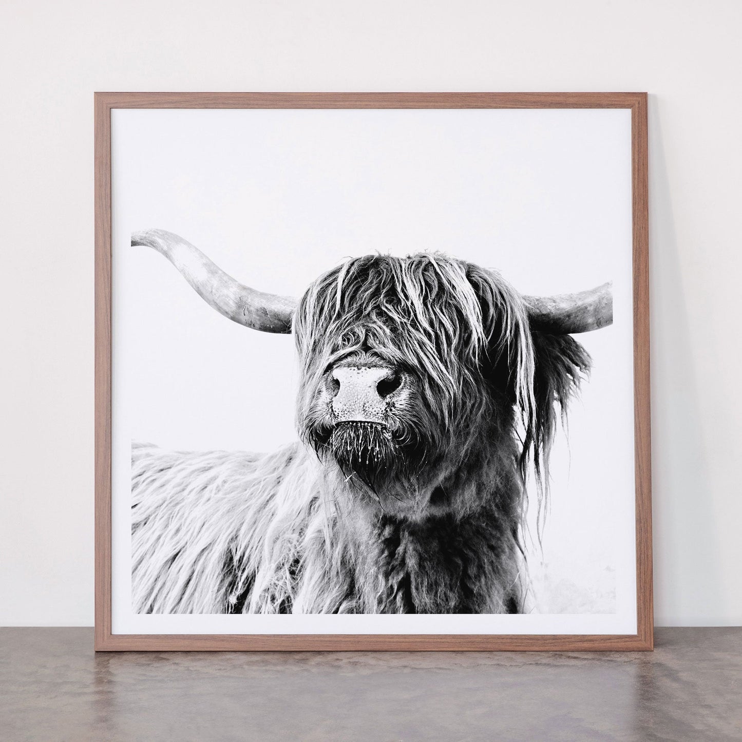 HIGHLAND CATTLE FRIDA Framed Art Print Gallery Image 66
