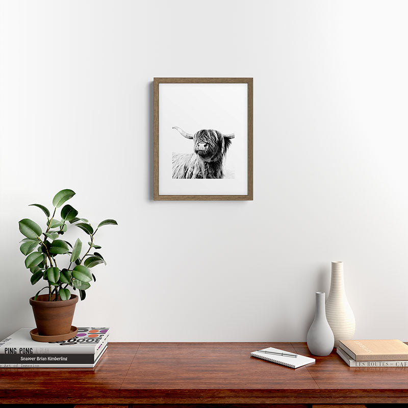 HIGHLAND CATTLE FRIDA Framed Art Print Gallery Image 15