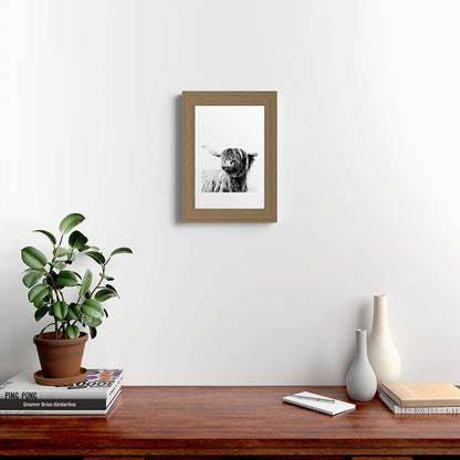 HIGHLAND CATTLE FRIDA Framed Art Print Gallery Image 52