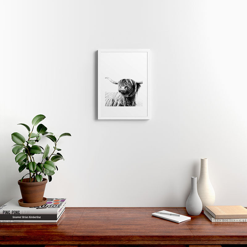 HIGHLAND CATTLE FRIDA Framed Art Print Gallery Image 32