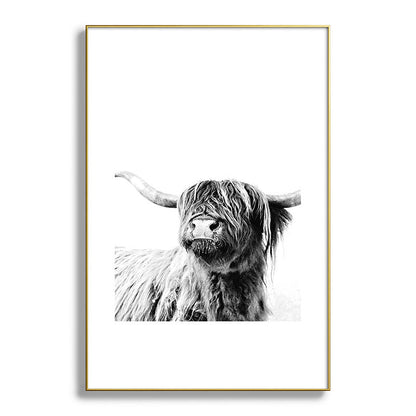HIGHLAND CATTLE FRIDA Framed Art Print Gallery Image 128