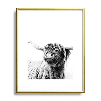 HIGHLAND CATTLE FRIDA Framed Art Print Gallery Image 121