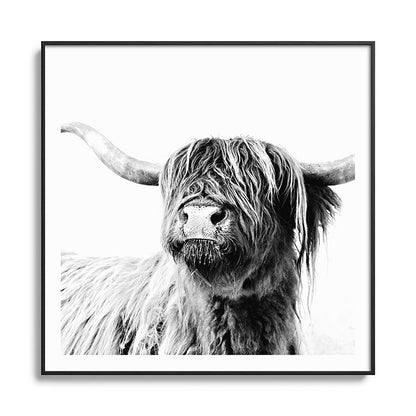 HIGHLAND CATTLE FRIDA Framed Art Print Gallery Image 126