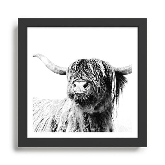 HIGHLAND CATTLE FRIDA Framed Art Print Gallery Image 2
