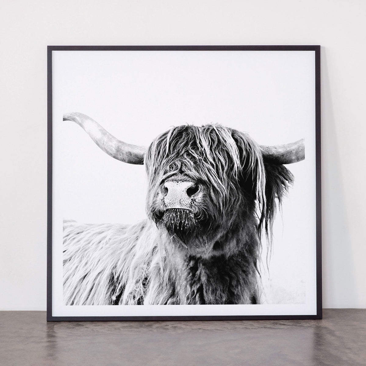 HIGHLAND CATTLE FRIDA Framed Art Print Gallery Image 11