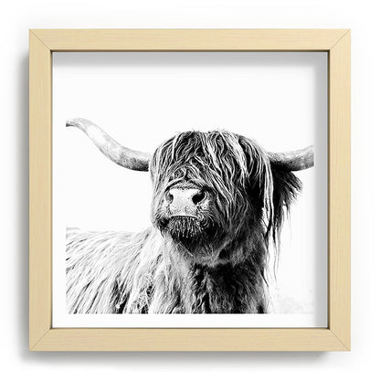 HIGHLAND CATTLE FRIDA Framed Art Print Gallery Image 106