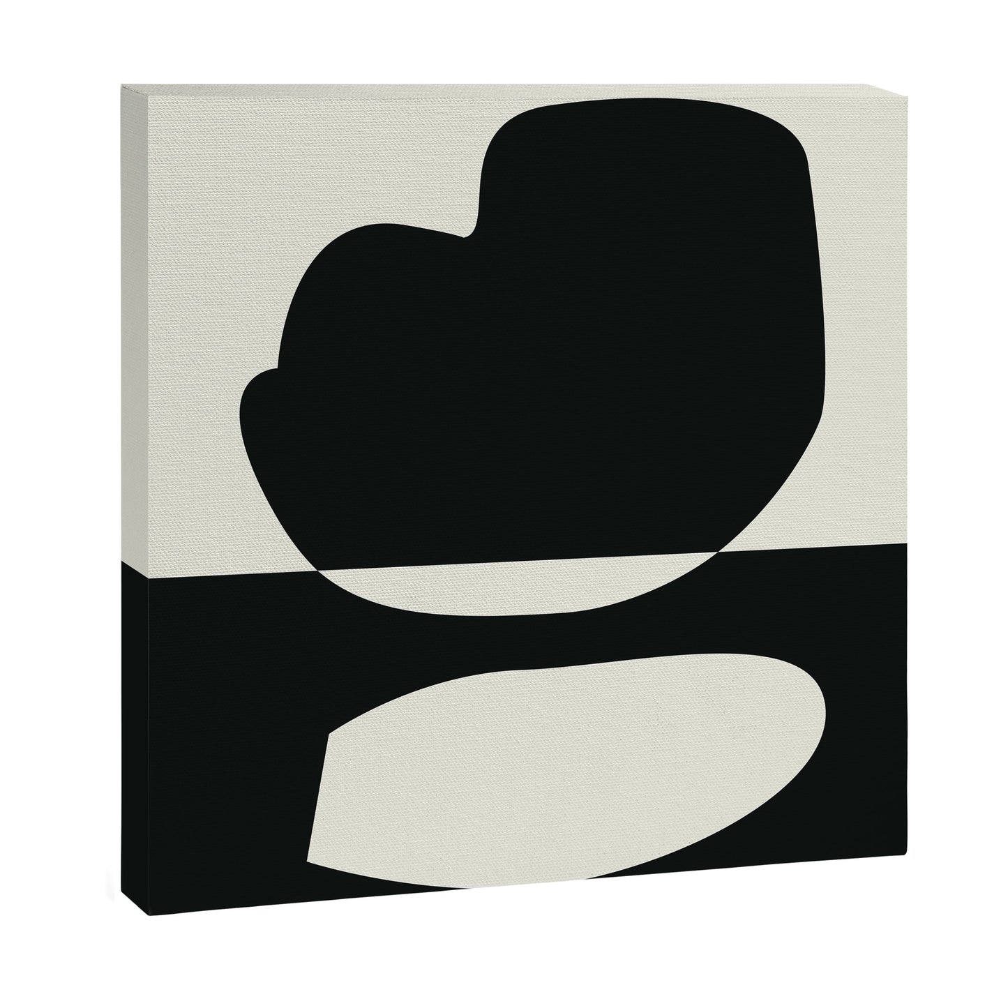 // Reverse 01 Canvas Print Gallery Image 9