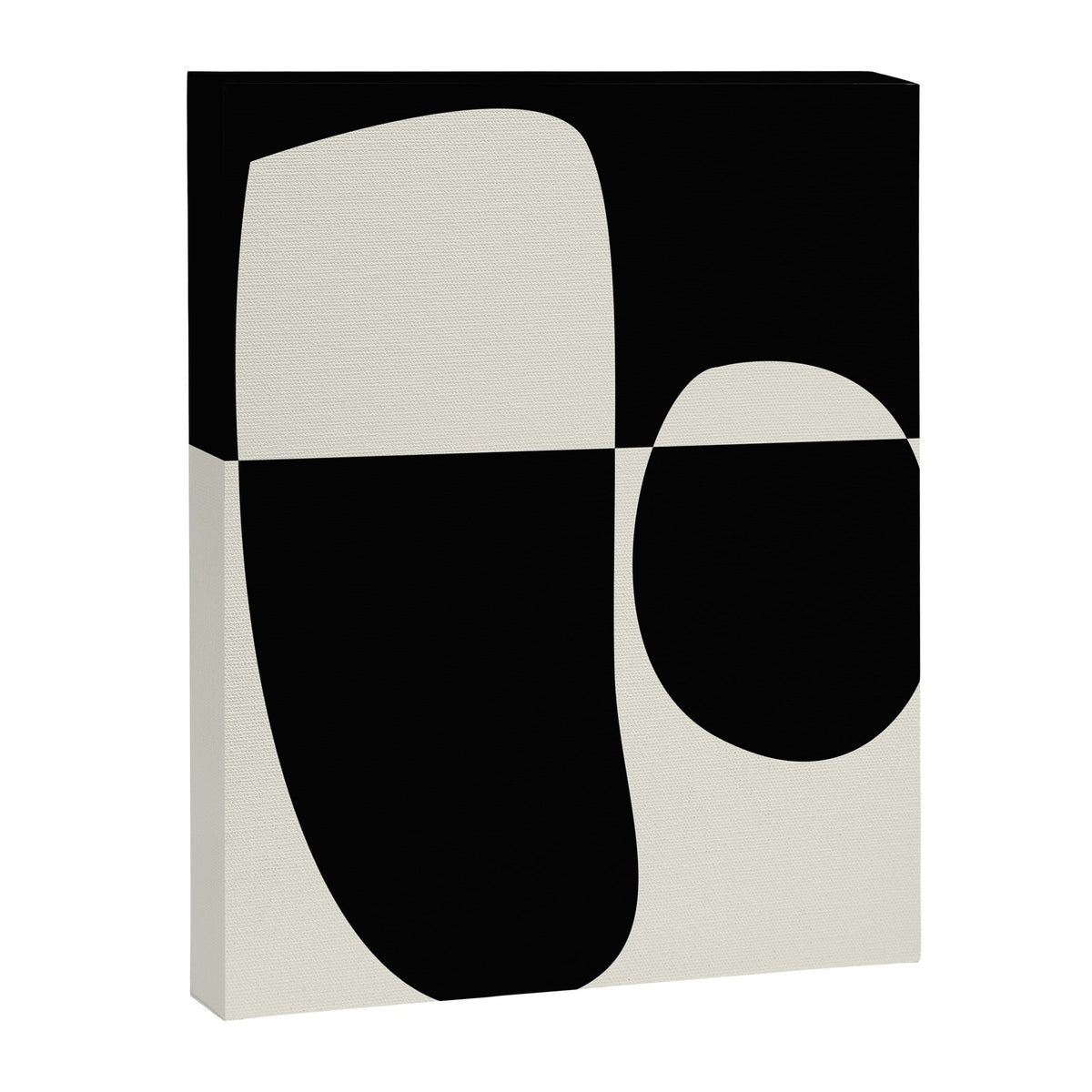 // Reverse 02 Canvas Print Gallery Image 3