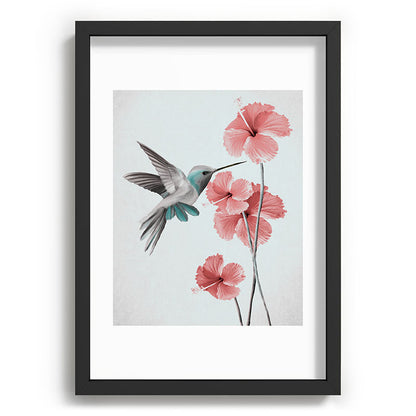 Hummingbird with Hibiscus Framed Art Print Gallery Image 59
