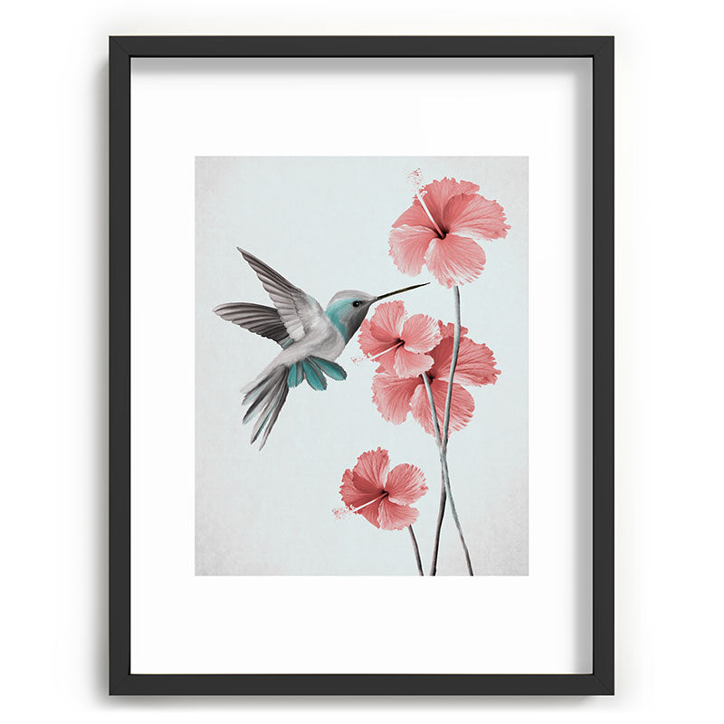 Hummingbird with Hibiscus Framed Art Print Gallery Image 60