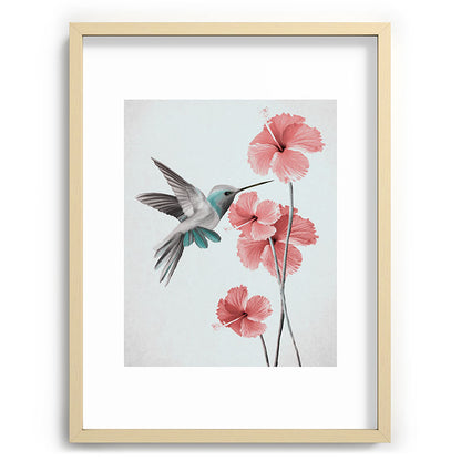 Hummingbird with Hibiscus Framed Art Print Gallery Image 73