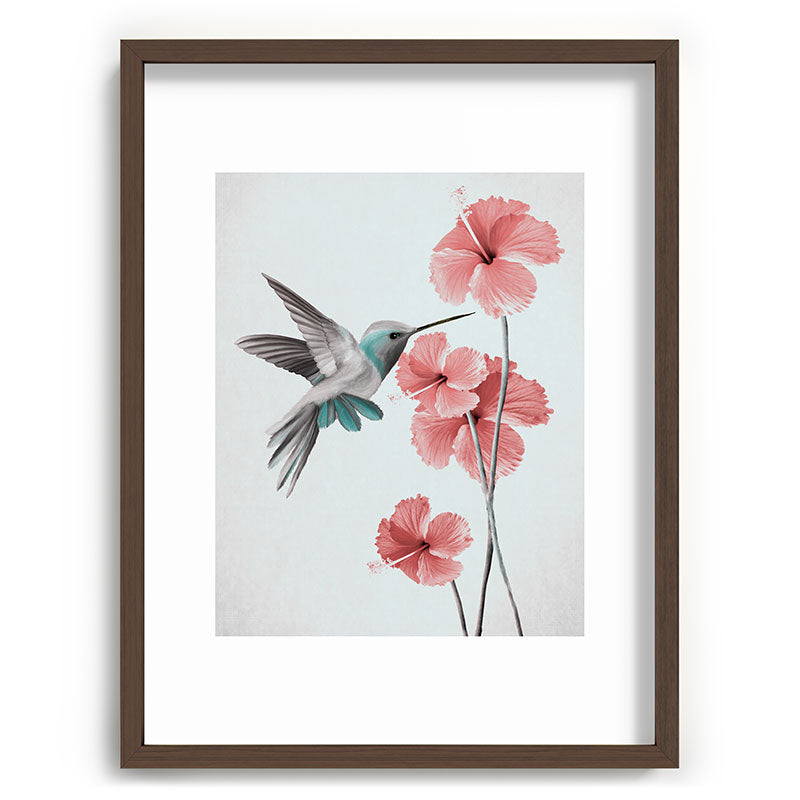Hummingbird with Hibiscus Framed Art Print Gallery Image 67