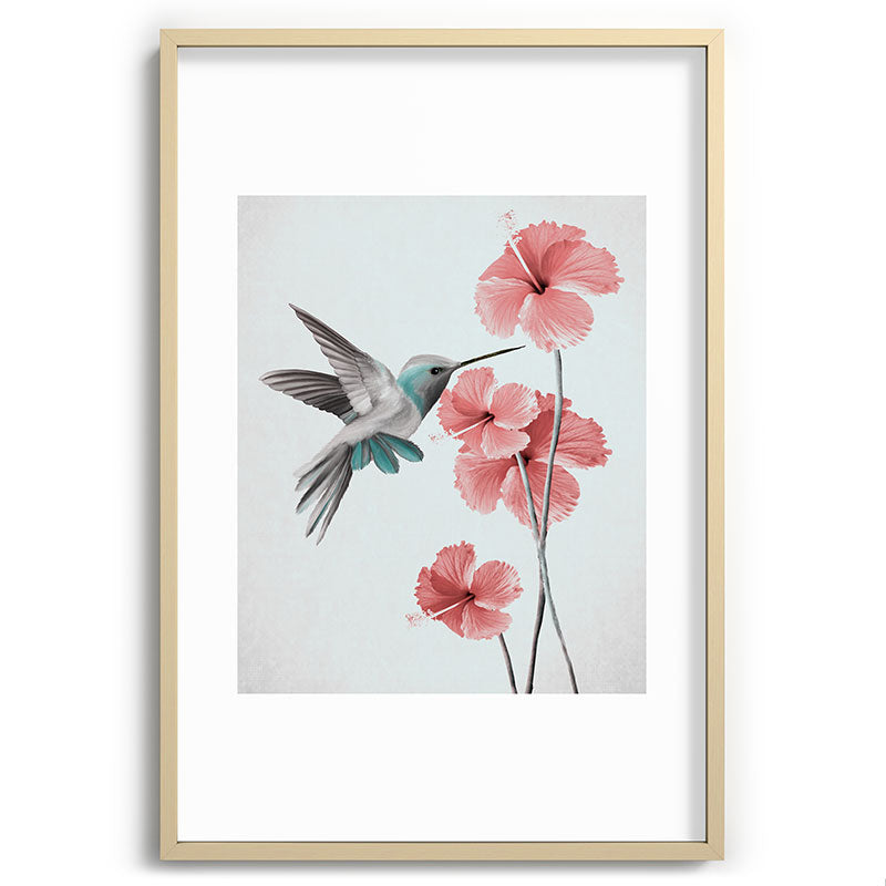 Hummingbird with Hibiscus Framed Art Print Gallery Image 74