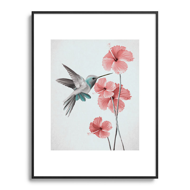 Hummingbird with Hibiscus Framed Art Print Gallery Image 85