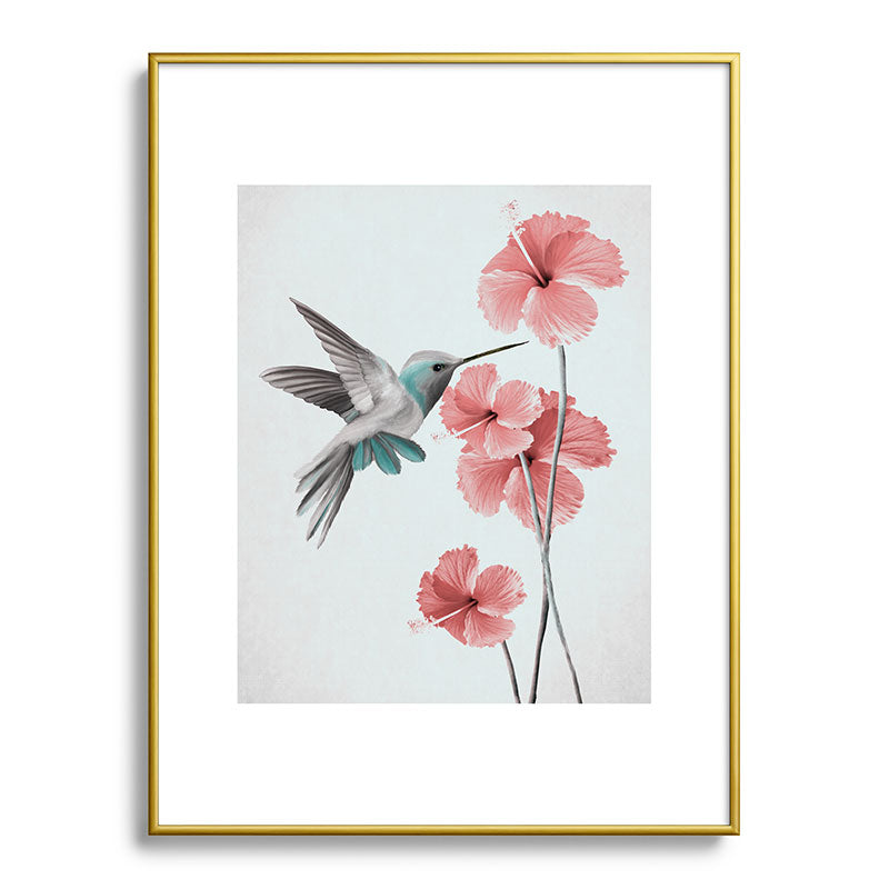 Hummingbird with Hibiscus Framed Art Print Gallery Image 91