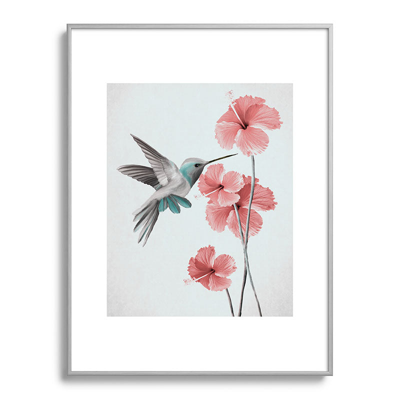 Hummingbird with Hibiscus Framed Art Print Gallery Image 98