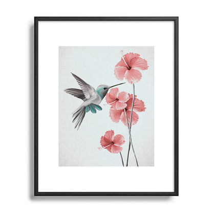 Hummingbird with Hibiscus Framed Art Print Gallery Image 81