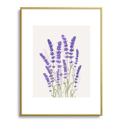 Lavender II Framed Art Print Gallery Image 91